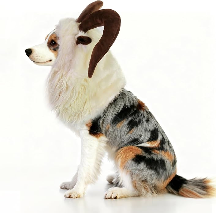 Dog wearing a costume with large brown ears on a white background