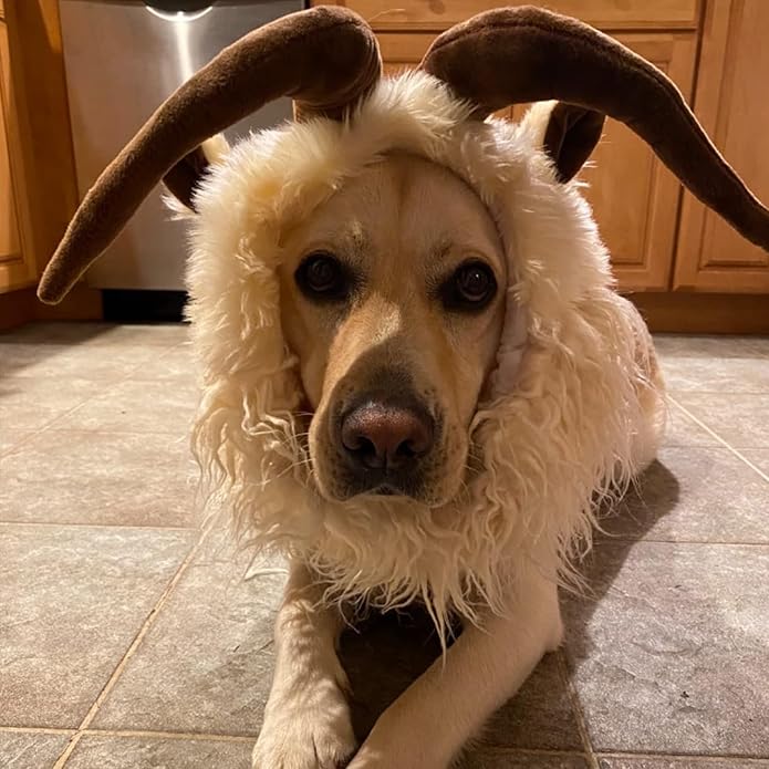 Dog wearing a goat costume with large brown horns indoors.
