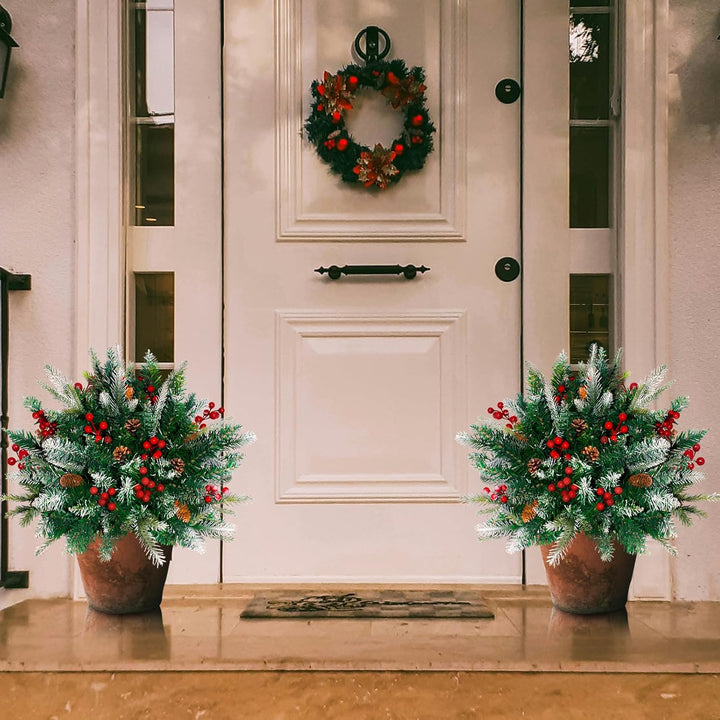 Decorative wreath and potted plants on a door with a doormat.