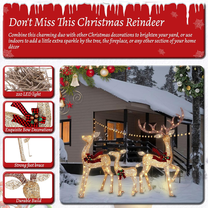 Decorative Christmas reindeer lights with text on a red background