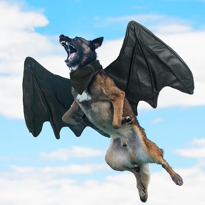 Dog wearing a bat costume