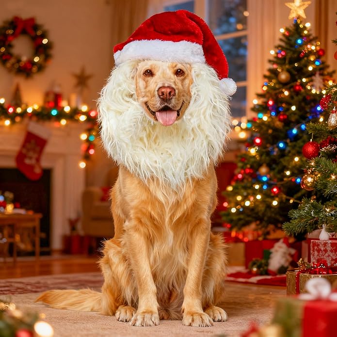 Dog wearing a Santa hat and beard in a festive living room with Christmas decorations.
