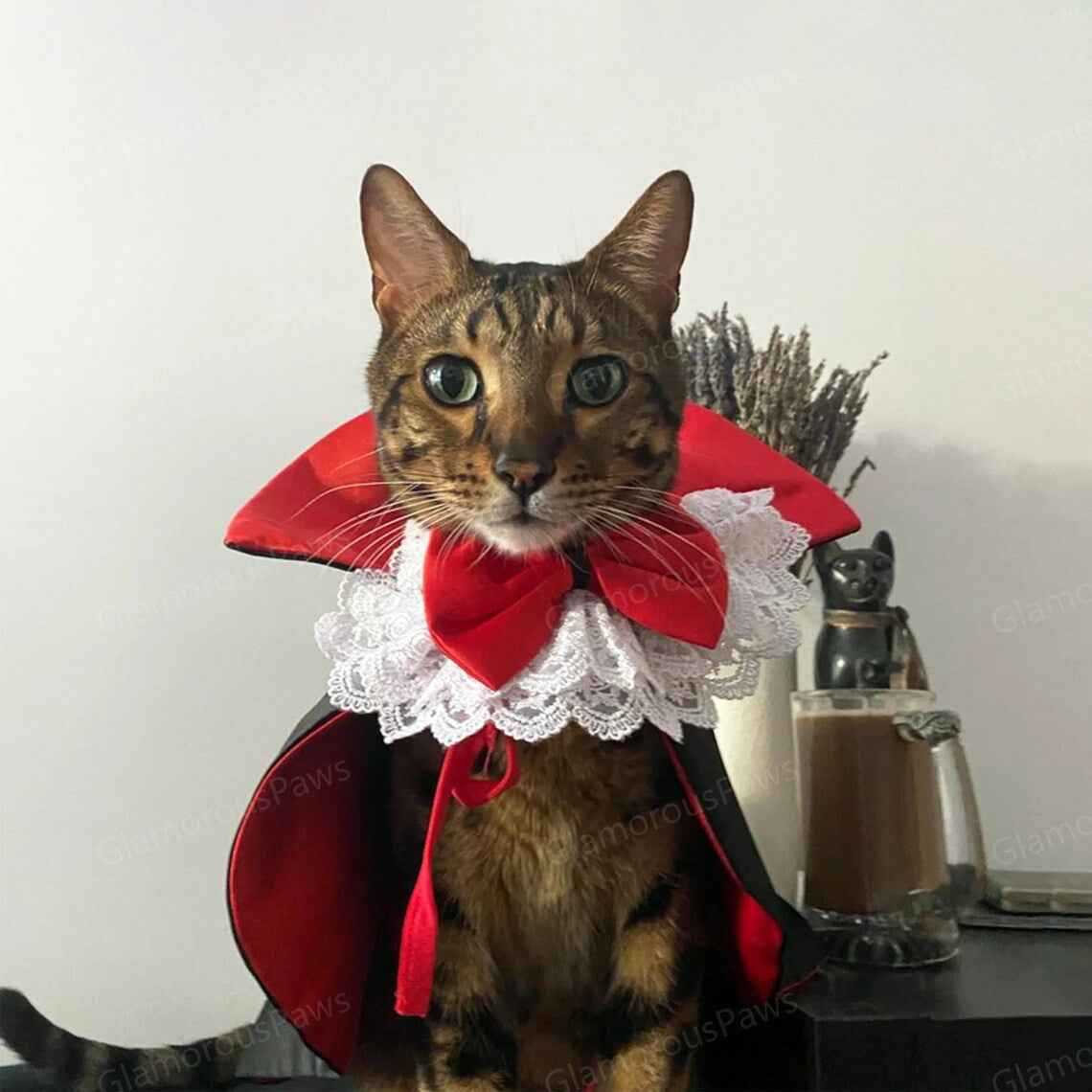 Halloween Vampire Costume for Pets – Cute Pet Vampire Outfit
