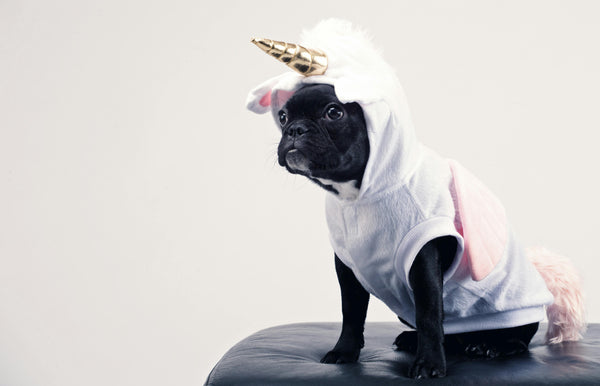 Halloween Unicorn Costume for Pets – Cute Dog & Cat Outfit