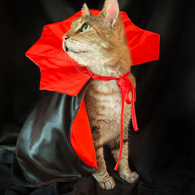 Halloween Vampire Costume for Pets – Cute Pet Vampire Outfit